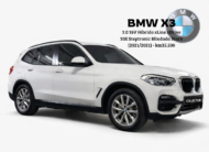 BMW X3 2.0 16V Hibridy XLine XDrive 30E Steptronic Brindada Stark