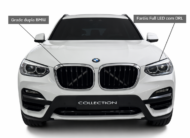 BMW X3 2.0 16V Hibridy XLine XDrive 30E Steptronic Brindada Stark