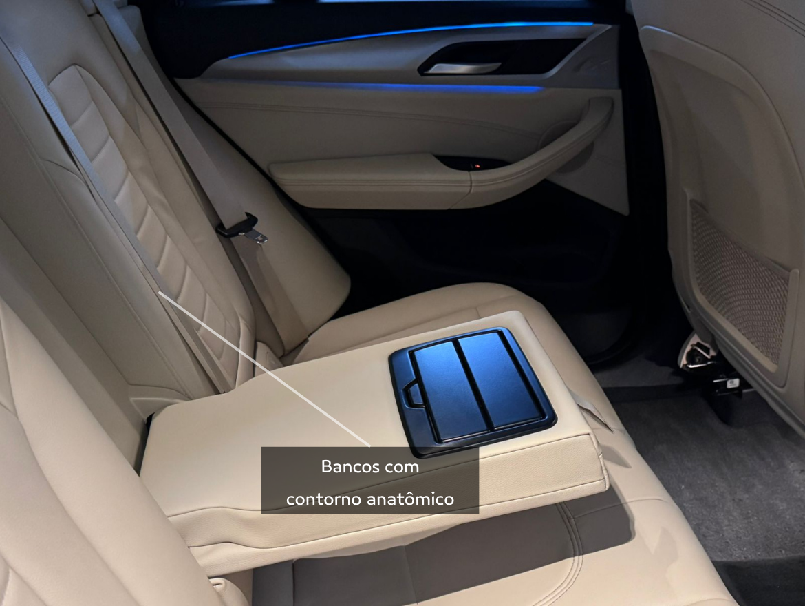 BMW X3 2.0 16V Hibridy XLine XDrive 30E Steptronic Brindada Stark