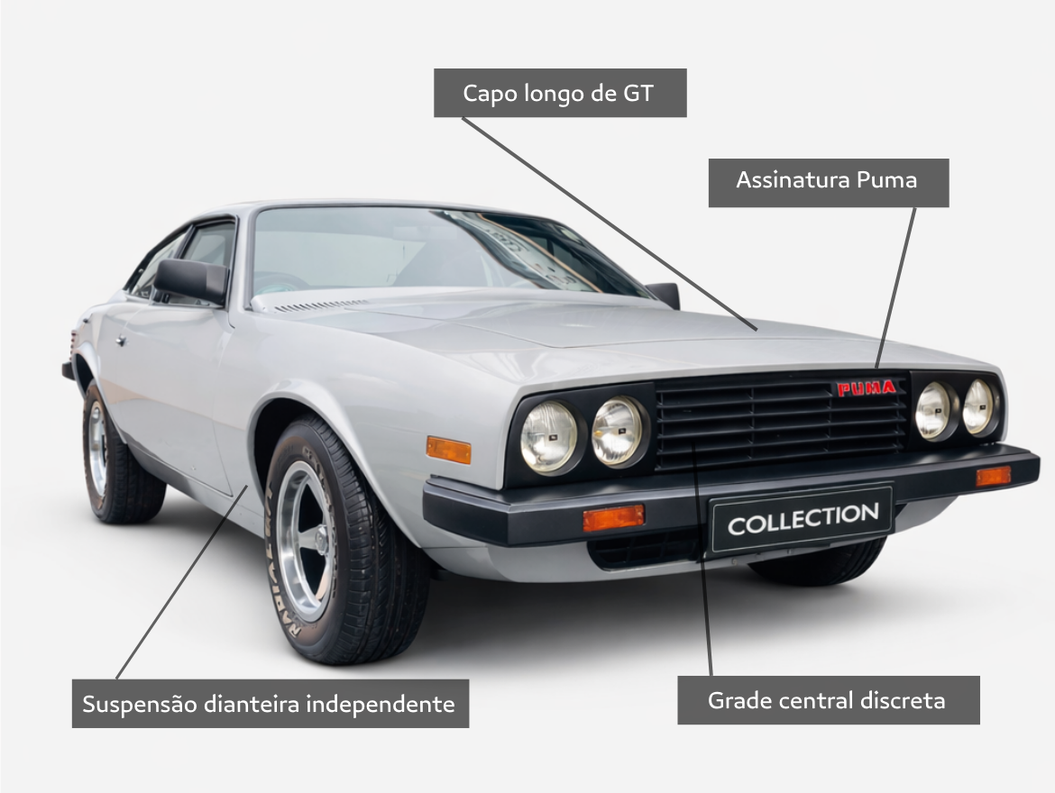 Puma GTB 4.1 Coupé 6 Cilindros 12V Gasolina 2P Manual 1980/1980