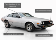 Puma GTB 4.1 Coupé 6 Cilindros 12V Gasolina 2P Manual 1980/1980