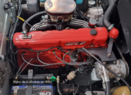 Puma GTB 4.1 Coupé 6 Cilindros 12V Gasolina 2P Manual 1980/1980