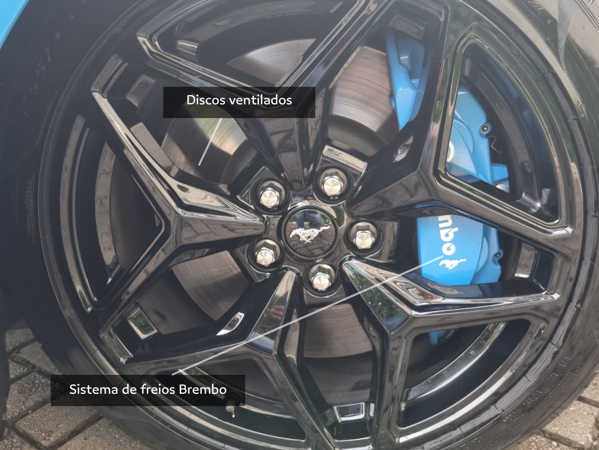 Ford Mustang 5.0 V8 Gasolina GT Performance Selectshift Blindado Leandrini IB33