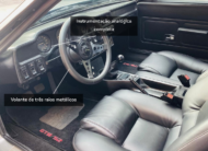 Puma GTB 4.1 Coupé 6 Cilindros 12V Gasolina 2P Manual 1980/1980